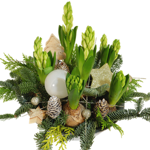 Boeketcadeau Sprankelend kerststuk ca. Ø 23cm met witte hyacinten