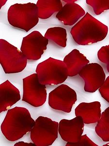 Surprose Rode rozenblaadjes