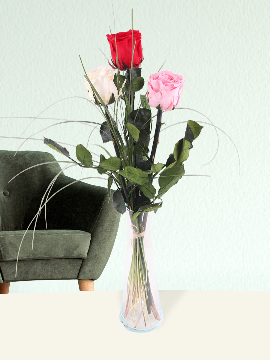 Surprose Drie kleurrijke long life rozen inclusief vaasje