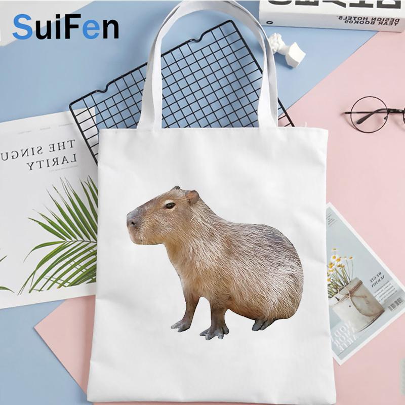 Iaidegou-7 capybara boodschappentas shopper recycle tas herbruikbare boodschappentas eco tas sacola bolsas reutilizables boodschappentas herbruikbaar 24*26cm