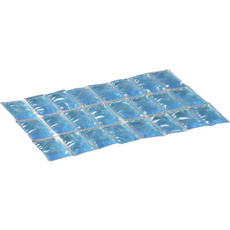 Campingaz Flexi Freez'Pack L Koelelement