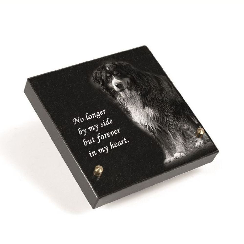 Gedenkartikelen Gedenksteen met lasergravure 15x15cm hond