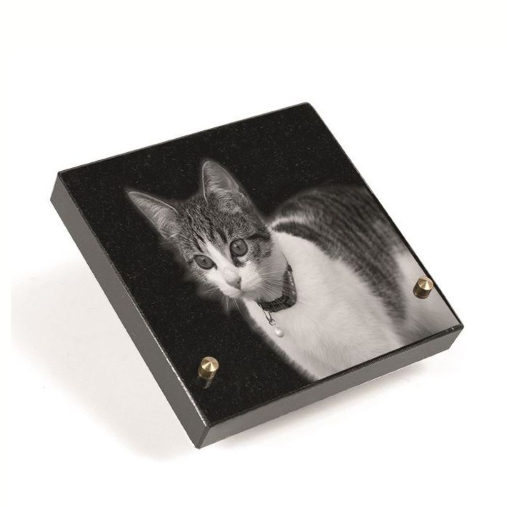 Gedenkartikelen Gedenksteen met lasergravure 15x15cm poes