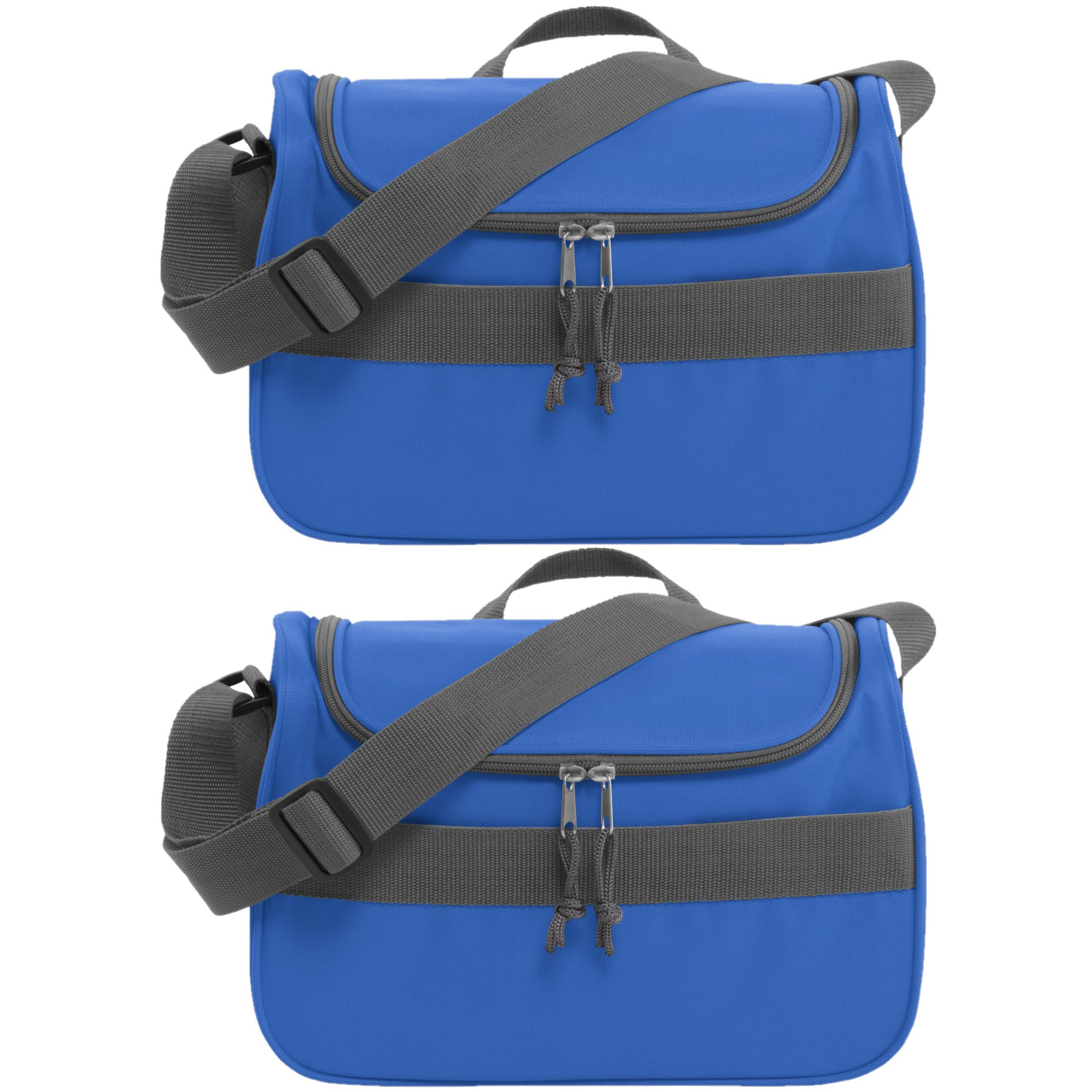 Merkloos Set van 2x stuks kleine koeltassen voor lunch blauw 30 x 15 x 22 cm 10 liter -
