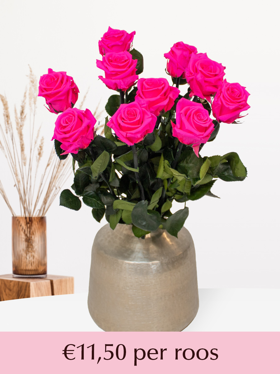 Surprose Felroze long life rozen - Kies je aantal van 5 t/m 20