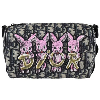 Dior Handtasje  -