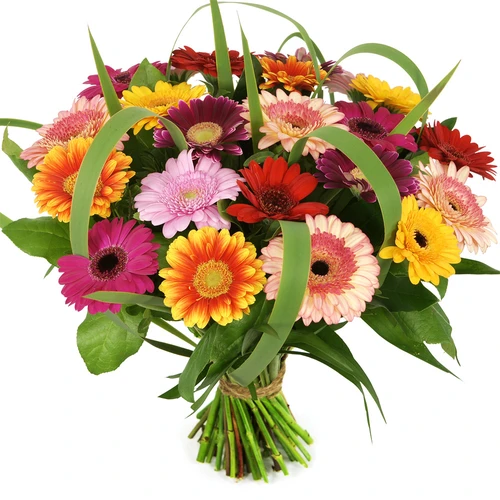 Boeketcadeau Boeket mixed gerbera's