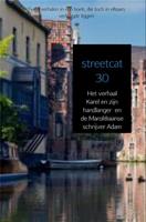 Streetcat 30 - - ebook
