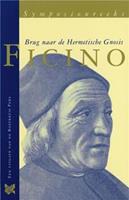 Ficino - Peter Huijs - ebook