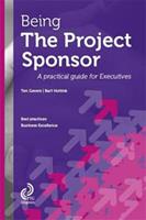 Being the project sponsor