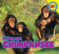   Chimpansee