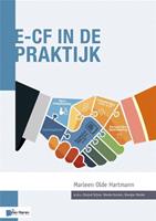 e-CF in de praktijk - Marleen Olde Hartmann - ebook
