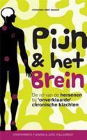 Pijn & het brein - Annemarieke Fleming en Joke Vollebregt
