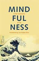 Mindfulness (E-boek)