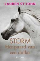 Storm: Het paard van een dollar - Lauren St John