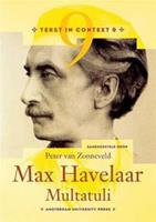Max Havelaar - Multatuli - Peter van Zonneveld - ebook