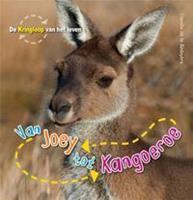 Van Joey tot kangoeroe
