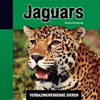   Jaguars