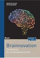   Brainnovation