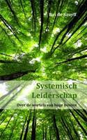 Systemisch leiderschap - Bas de Kruyff - ebook