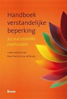 Handboek verstandelijke beperking - Brian Twint, Jac de Bruijn - ebook
