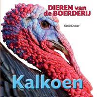   Kalkoen