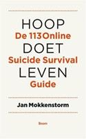 Hoop doet leven - Jan Mokkenstorm - ebook