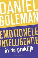 daniëlgoleman Emotionele intelligentie in de praktijk -  Daniël Goleman (ISBN: 9789047006756)