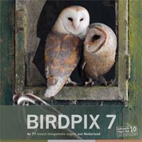 Birdpix 7 - De meest fotogenieke vogels