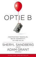 Optie B - Sheryl Sandberg en Adam Grant
