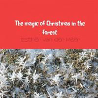The magic of Christmas in the forest