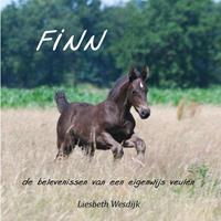 Finn - Liesbeth Wesdijk