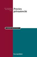 Precies privaatrecht - S. Lindenbergh, H.N. Schelhaas - ebook