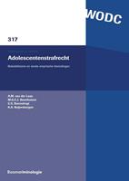 Adolescentenstrafrecht - A.M. van der Laan, M.G.C.J. Beerthuizen, C.S. Barendregt, K.A. Beijersbergen - ebook