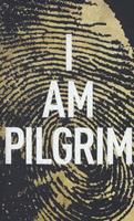 I Am Pilgrim - Hayes, Terry
