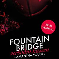 samanthayoung Fountain Bridge - Verboden Kussen