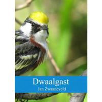 Dwaalgast - Jan Zwaaneveld
