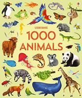 jessicagreenwell 1000 Animals