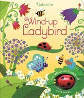 fionawatt Wind-up Ladybird
