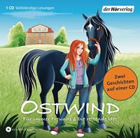 thilo Ostwind 01&02 - Für immer Freunde & Die rettende Idee