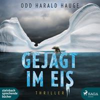 Odd Harald Hauge Gejagt im Eis