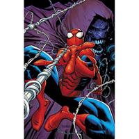Marvel Amazing Spider-Man (03): Lifetime Achievement - Nick Spencer