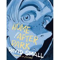 Norton Home After Dark: A Graphic Novel - David Small