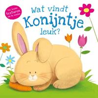 Rebo Productions prentenboek Wat vindt konijntje leuk℃