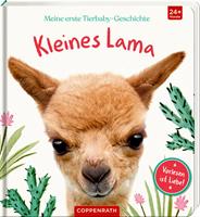 Amanda Wood Meine erste Tierbaby-Geschichte: Kleines Lama