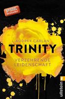 Audrey Carlan Verzehrende Leidenschaft / Trinity Bd.1