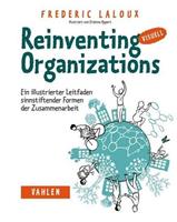 Frederic Laloux Reinventing Organizations visuell