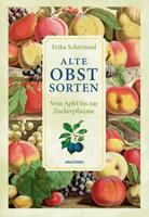 Erika Schermaul Alte Obstsorten - Vom Apfel bis zur Zuckerpflaume