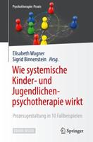 Springer Berlin Wie systemische Kinder- und Jugendlichenpsychotherapie wirkt