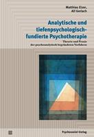 Matthias Elzer, Alf Gerlach Analytische und tiefenpsychologisch fundierte Psychotherapie